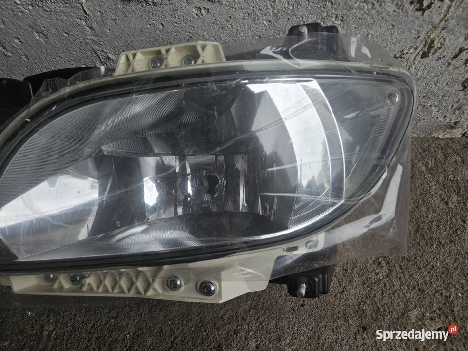 Halogen Lewy DAF XF Międzychód