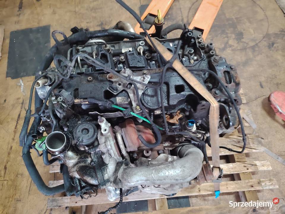 Sprzedam silnik kompletny do RENAULT MASTER 23 Rok produkcji 2018 wielkopolskie sprzedam