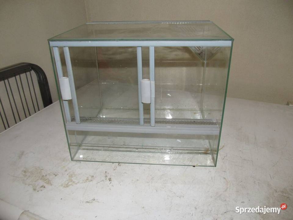 Terarium Bełchatów