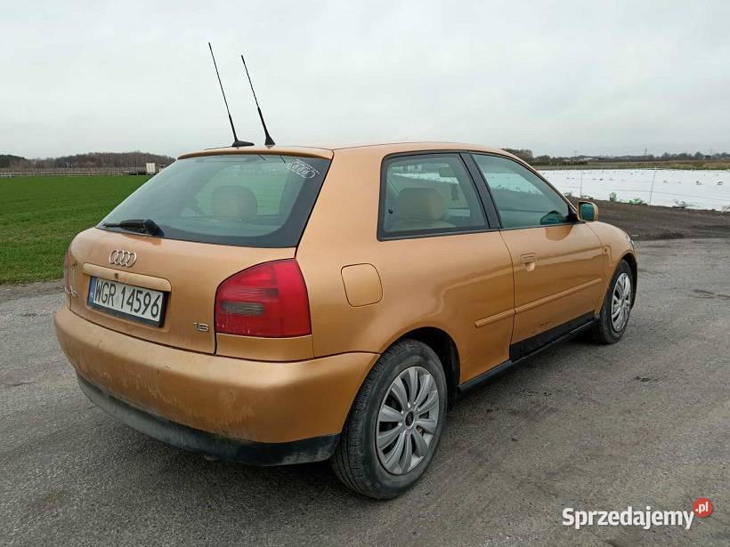 AUDI A3 8L 16 DŁUGIE OC I PT climatronic Grójec