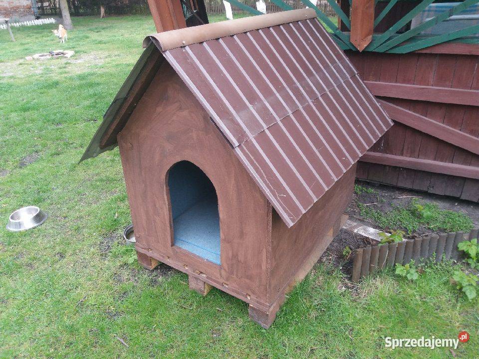 Buda psa Dla psów śląskie