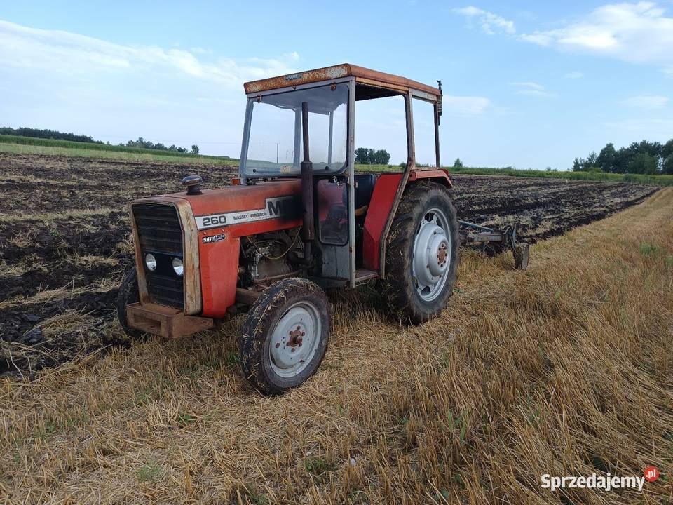Massey Ferguson MF 260 Napęd 2x4 świętokrzyskie