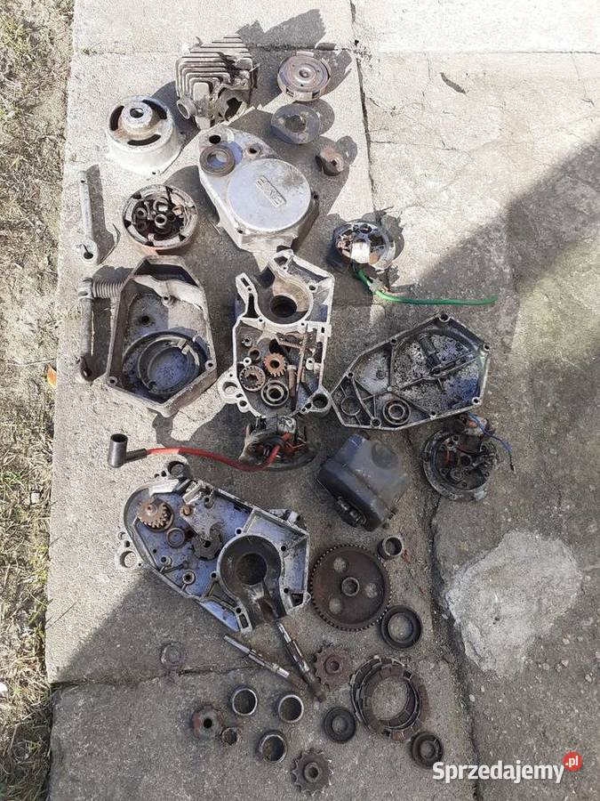 Sprzedam Rometa Gawrony sprzedam