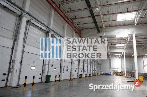 Hala klasyA Dąbrówka bez prowizji