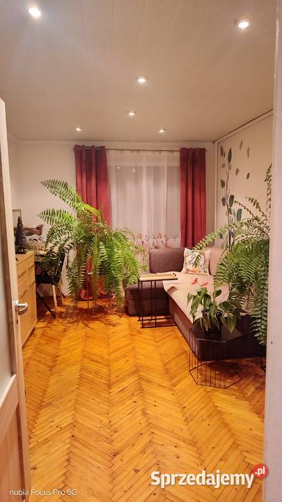 Dom na sprzedaż jednorodzinny cegła Sprzedaż opolskie Jełowa