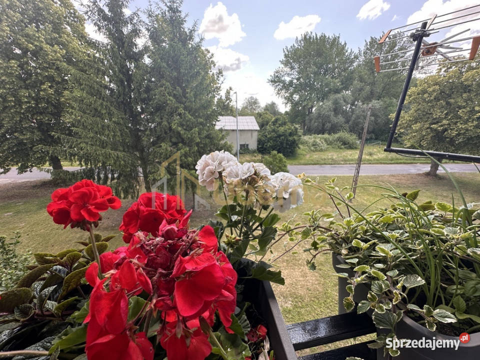 Mieszkanie 2pok Darż pod Maszewem na sprzedaż Rok budowy 1985 zachodniopomorskie
