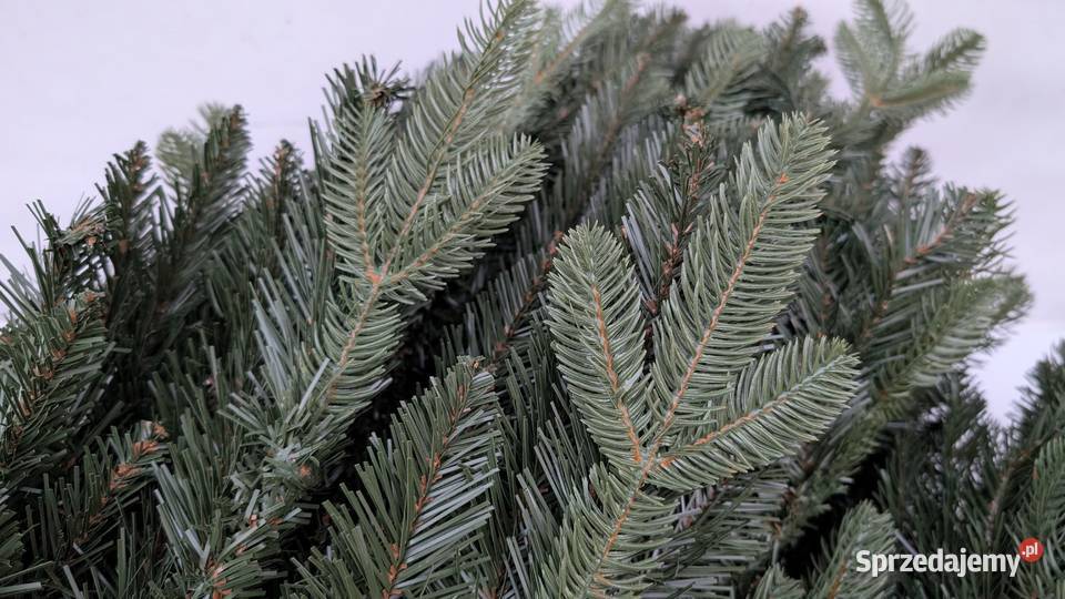 Choinka sztuczna PURE LIVING INTERIOR DESIGN 180