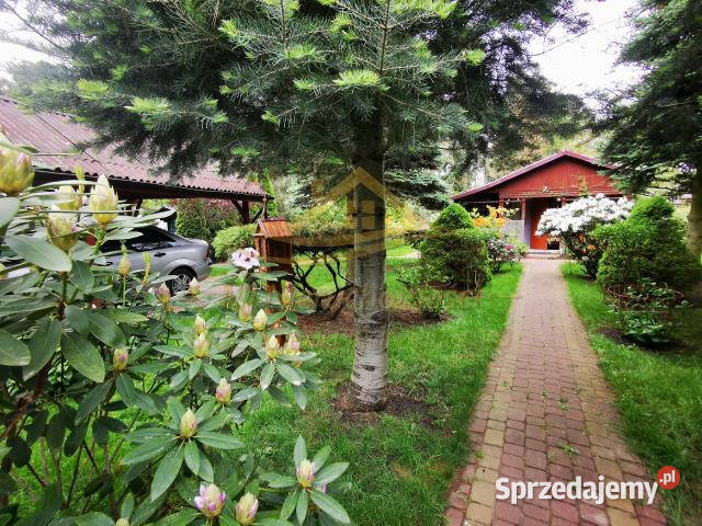 Grunt 506m2 Władysławów