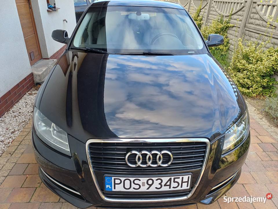 Audi A3 8P Lift 1.6 TDI przebieg 128tys.