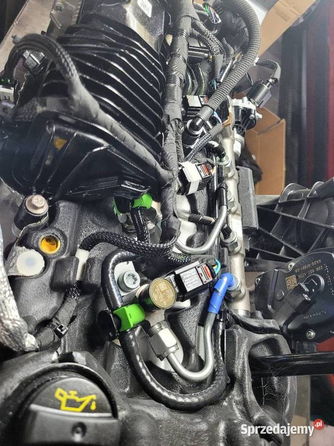 FORD RAPTOR SILNIK SERWIS MONTAŻ GWARANCJA Radom