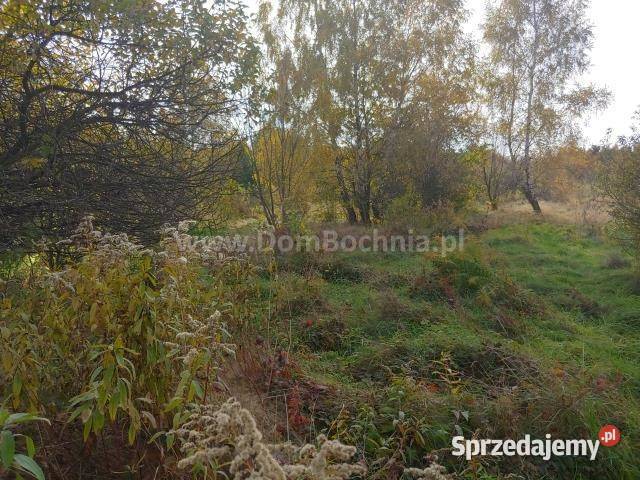 sprzedaży działki Krzeczów 3200m2 3200m2