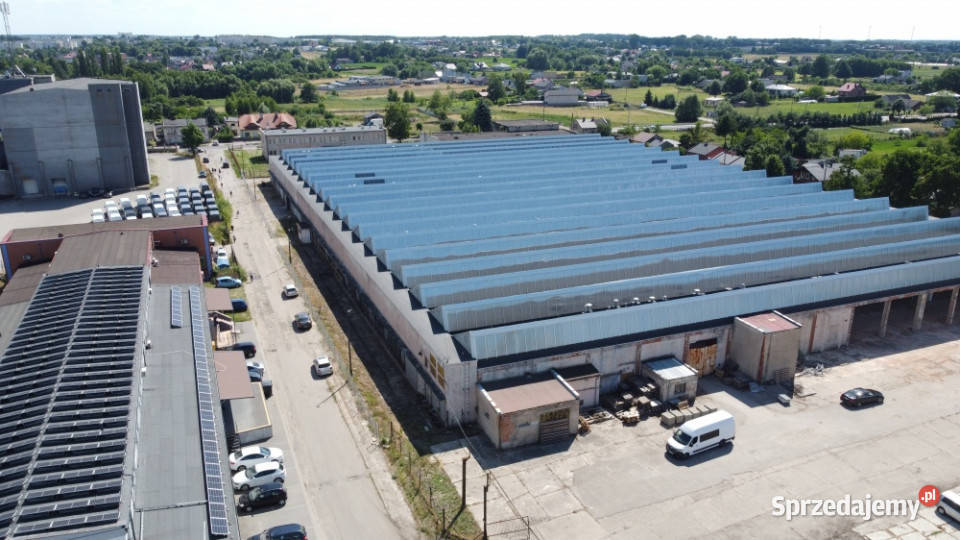 Hala magazynowa 12500m2 sprzedam