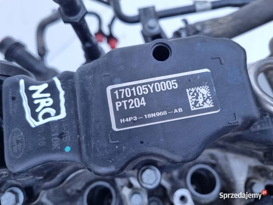 SILNIK Land Rover Evoque II L551 20 T TURBO 250 Rudka