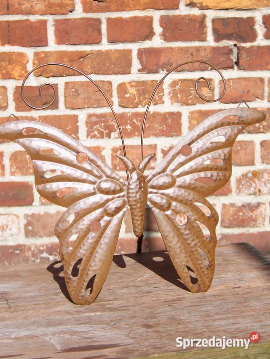 motyl metaloplastyka 40 Białogard sprzedam