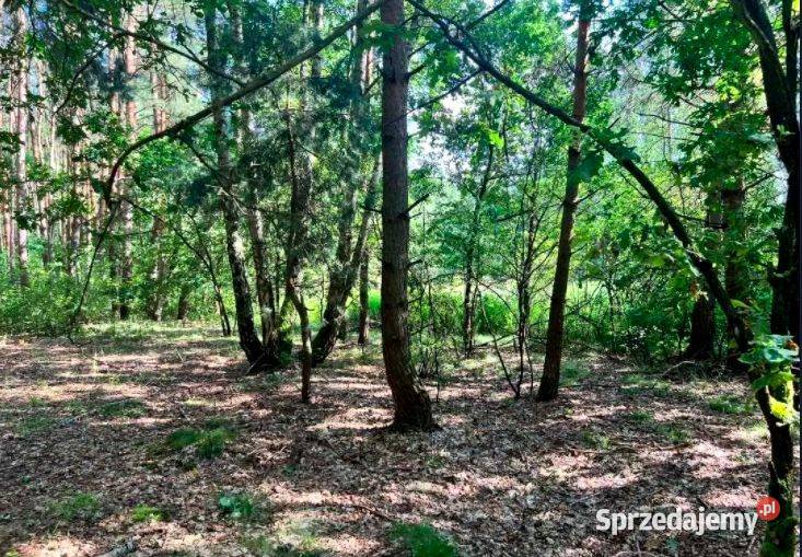 Działka budowlana drodze asfaltowej RATY Borzymów