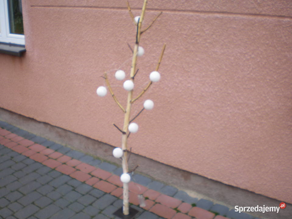 naturalny konar brzozy z kulami 10 led Siedlce sprzedam