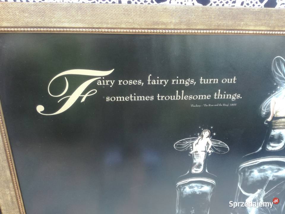 Piękna duża reprodukcja 3 98x68 ramy WWaterhouse sprzedam