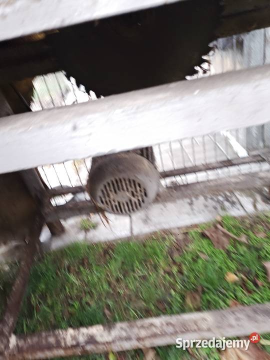 Krajzega Piły stołowe dolnośląskie Milicz