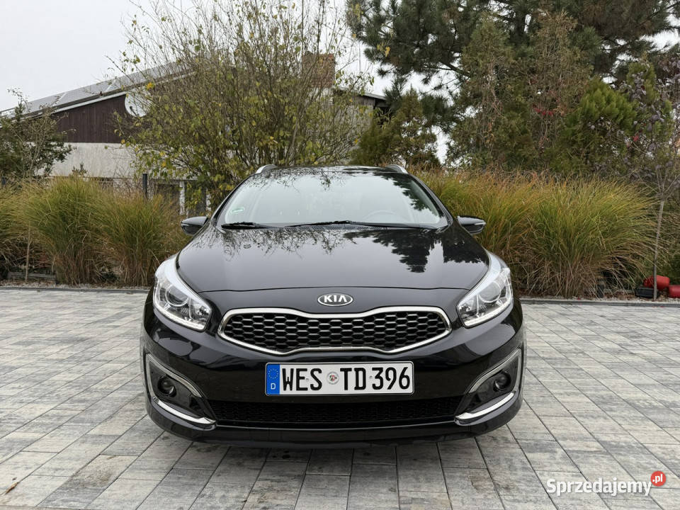 Kia Ceed Zadbana bezwypadkowa przepiękny perłowy 4/5 Poznań