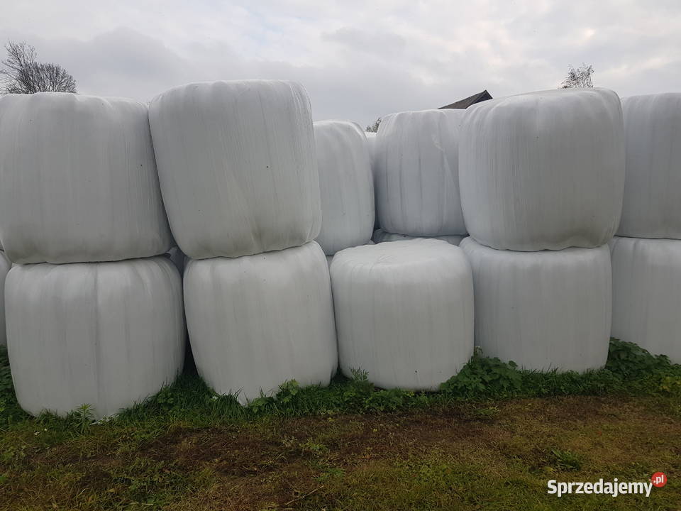Sprzedam bele słomy 120 i 20 siana Bobrowniki