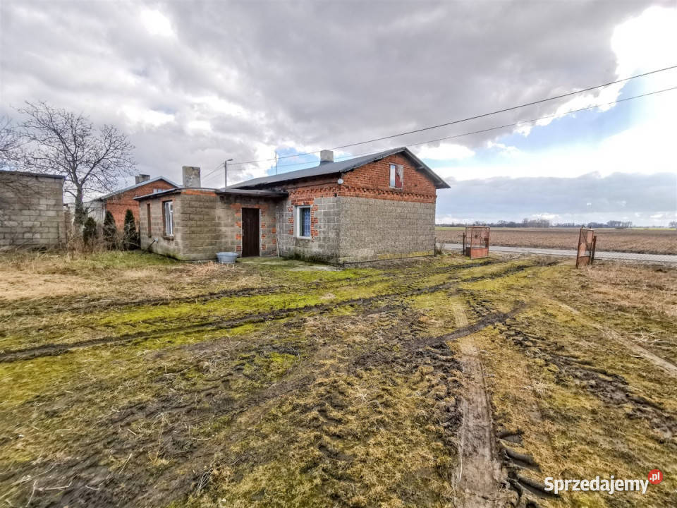 sprzedaży domu Wacławów 80m2