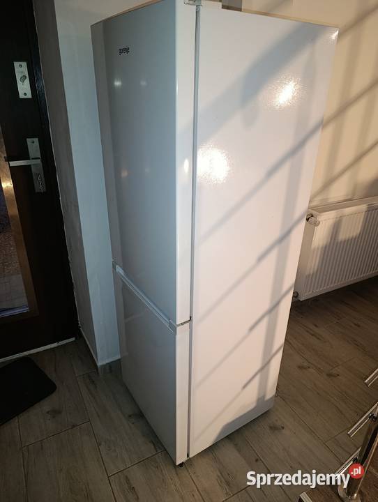 Lodówka Gorenje RK4161PW4 z zamrażalnikiem 55cm Brzyska