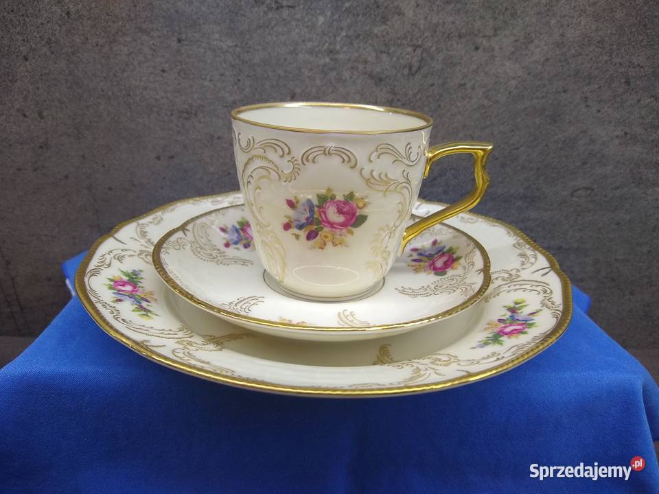 Serwis kawa Rosenthal Sanssouci Diplomat wielkopolskie sprzedam