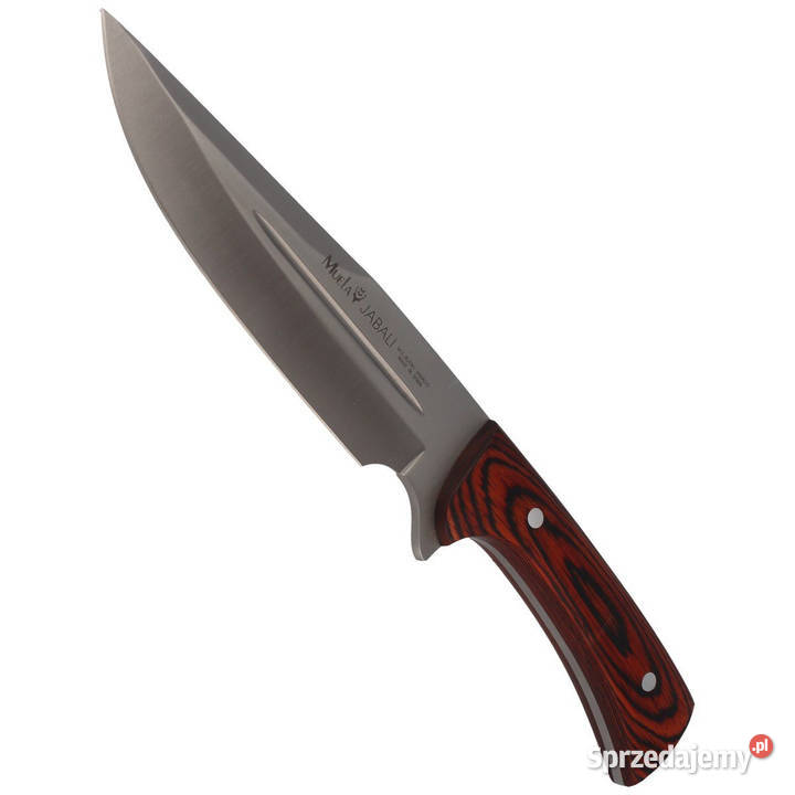 Nóż Muela Jabali17E Coral Pakkawood Satin Warszawa