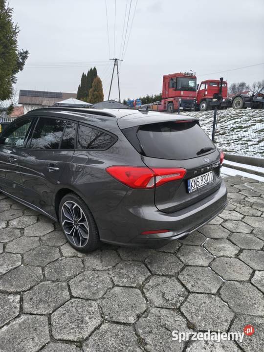 Ford focus stline 2019 Focus Grybów