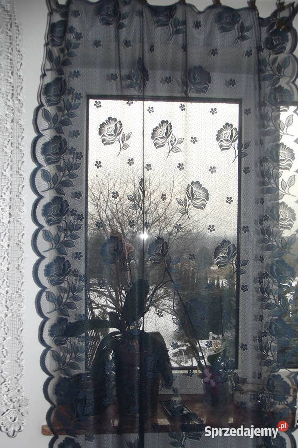 Mała firanka granat 110165 Piekary Śląskie