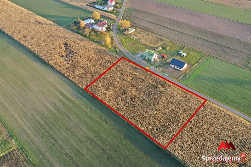 sprzedaży działki 6427m2 Lubanie 6427m2