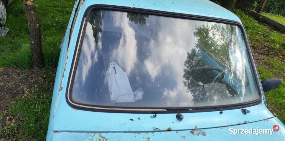 126p turchese farfalla 463 126