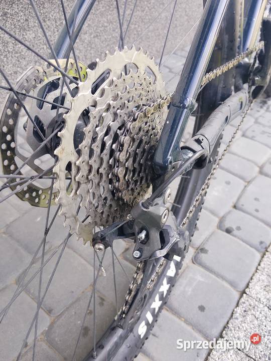 Trek marlin 7 gen 3 2024