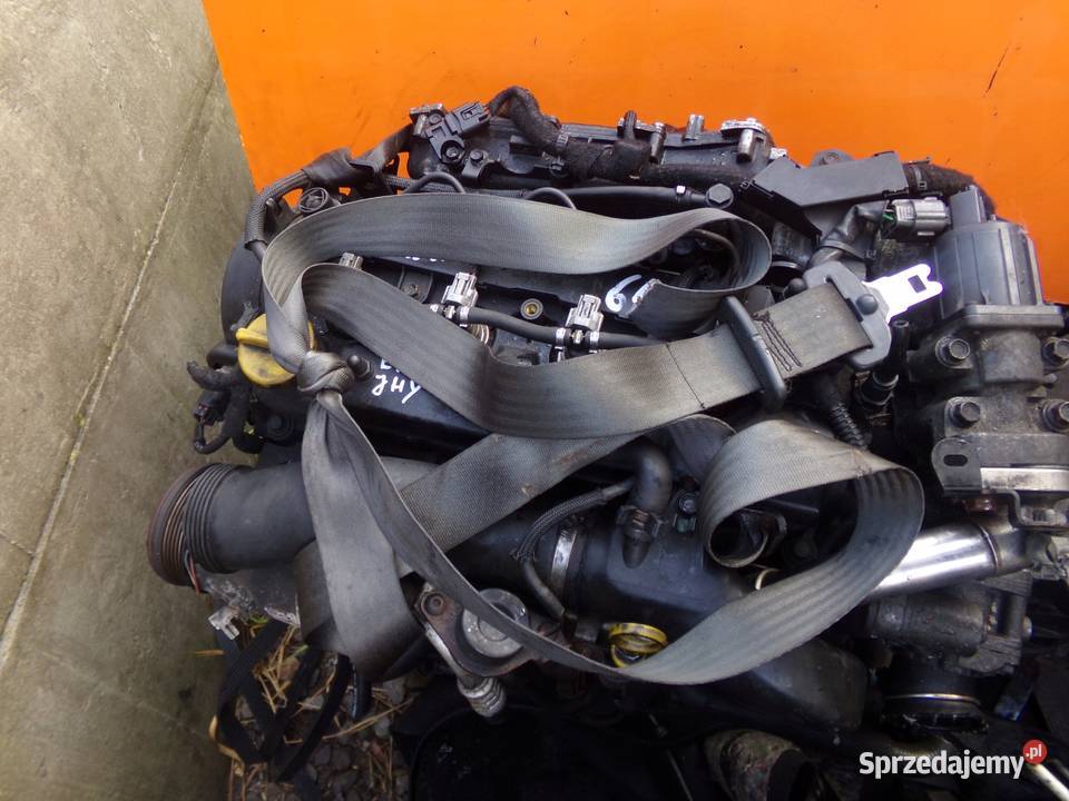 ZAFIRA B 17 CDTI 12r pompa wtryskowa 2940000503 Pompy wtryskowe mazowieckie Suków