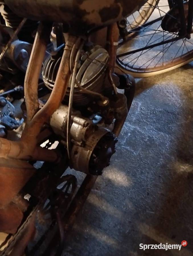 Terrot damka Gostycyn