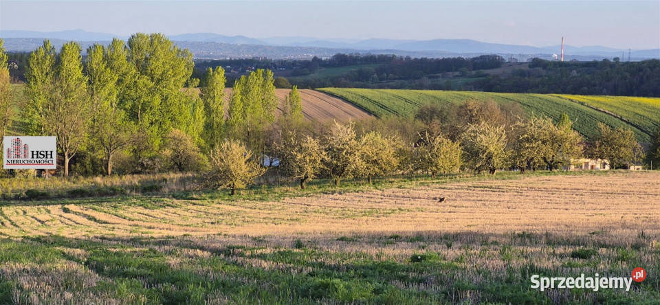 Grunt Michałowice 2450m2 220zł/m2 sprzedam