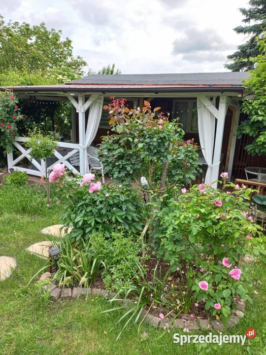 Dzialka ROD Bernatówka64 167zł/m2 Dys