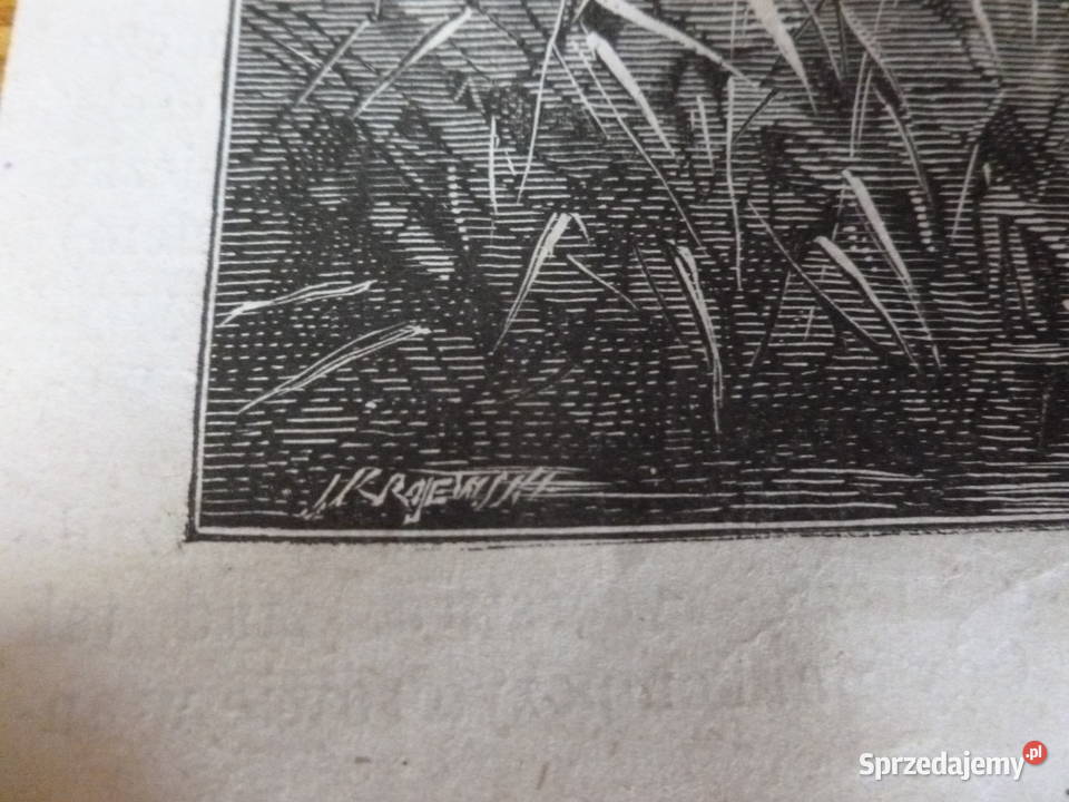 A Kowalski Drzeworyt sztorcowy Kłosy 1875 r Mława sprzedam