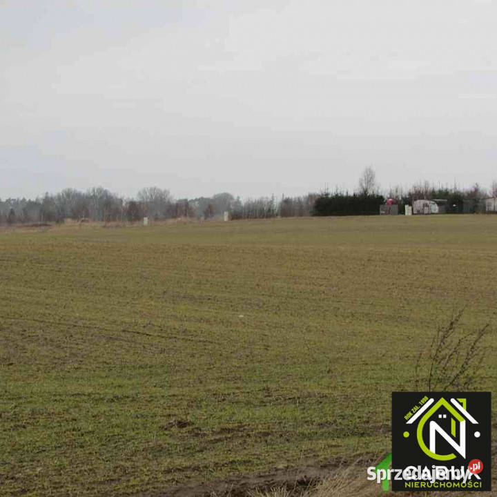 sprzedaży działki 13332m2 Rewal szambo