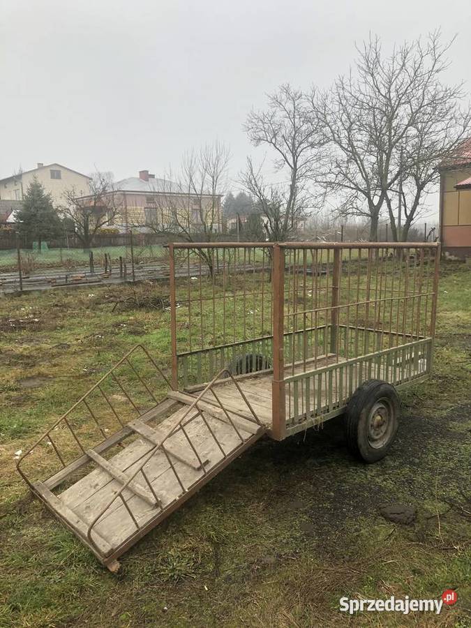 Klatka do przewozu zwierząt Hodowla zwierząt Lubartów