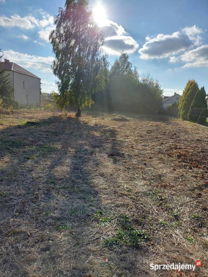 Działka budowlana 40 ar Sprzedaż Trawniki-Kolonia