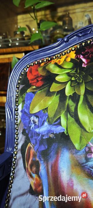 Fotel Ludwikowski ludwik dolnośląskie