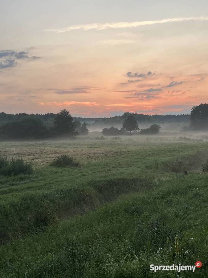 Na sprzedaż 235 ha prywatnej enklawy ze stawami Róża Wielka sprzedam