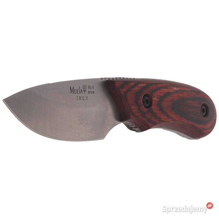 Nóż Muela Full Tang Pakkawood Satin X50CrMoV15 mazowieckie Warszawa