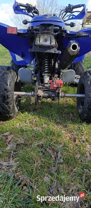 Shineray stxe 250 Chłaniówek