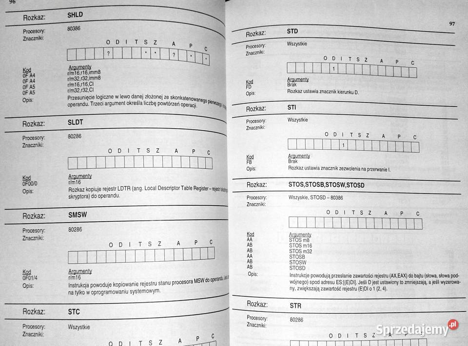 pisać wirusy Andrzej Dudek Chełm