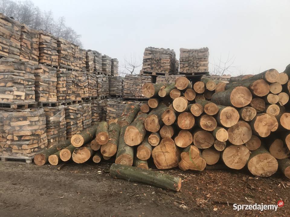 Suche Drewno Kominkowe Brzoza Warszawa Piaseczno