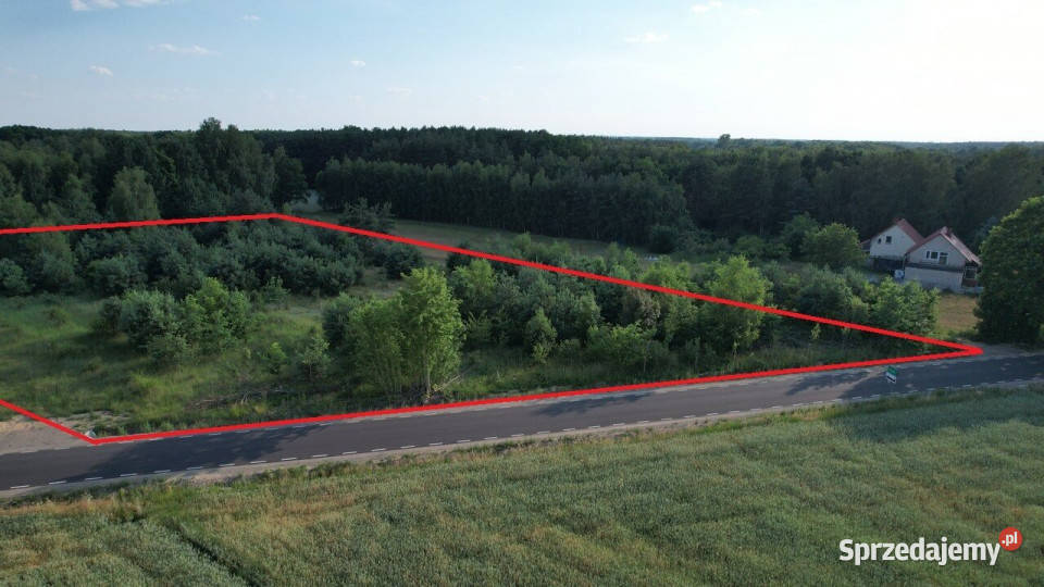 Sprzedam grunt Pałki 8116m2 sprzedam