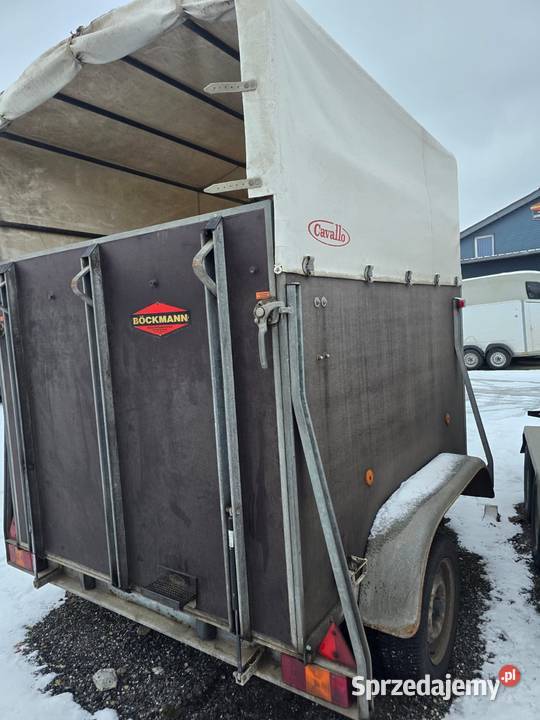 Boeckmann do koni przyczepa