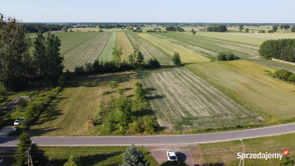 Działka o pow 6461 m2 w Wysokim Kole Gniewoszów